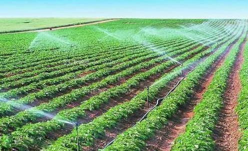 男女色爱抽插视频农田高 效节水灌溉